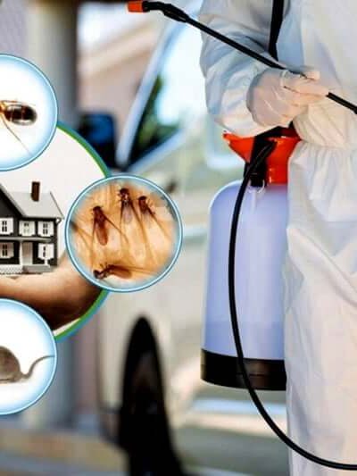 Pest Control Service